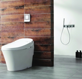 Bồn cầu g&iacute;a rẻ CS 617