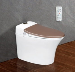 Bồn cầu th&ocirc;ng minh Viglacera V94.GW