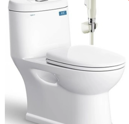 Bệt C109 trắng (PK, d&acirc;y cấp inox, V38M, KK)+xịt VG826