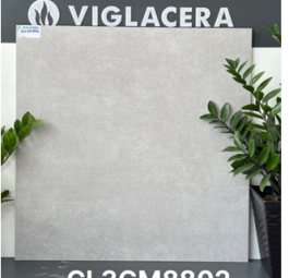 Gạch Granite CL3GM8802