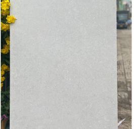 Gạch Granite CL8GM81601