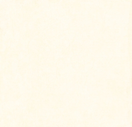 Gạch l&aacute;t nền Viglacera M420