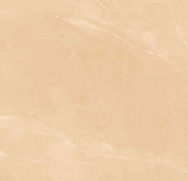 Gạch ốp l&aacute;t Viglacera CL-GP4806