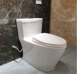 Bệt V62 trắng + xịt VG826