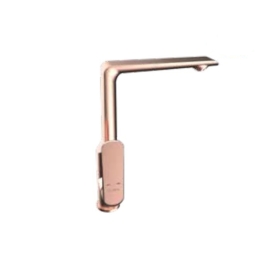 V&ograve;i rửa b&aacute;t Viglacera Platinum P.55.358